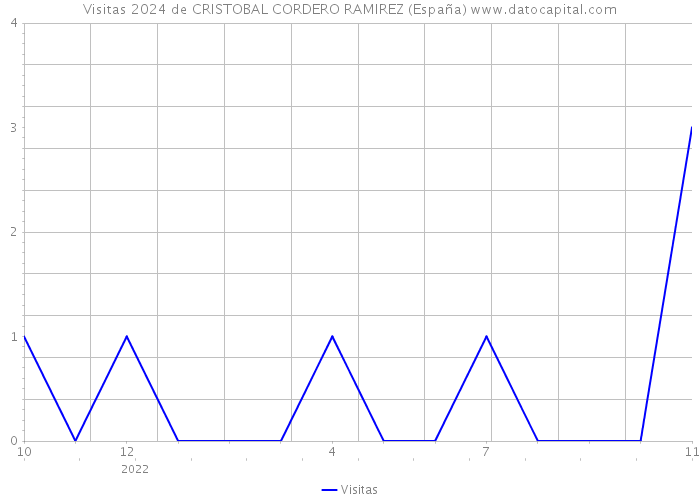 Visitas 2024 de CRISTOBAL CORDERO RAMIREZ (España) 