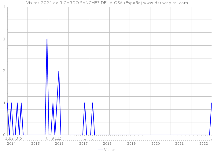 Visitas 2024 de RICARDO SANCHEZ DE LA OSA (España) 