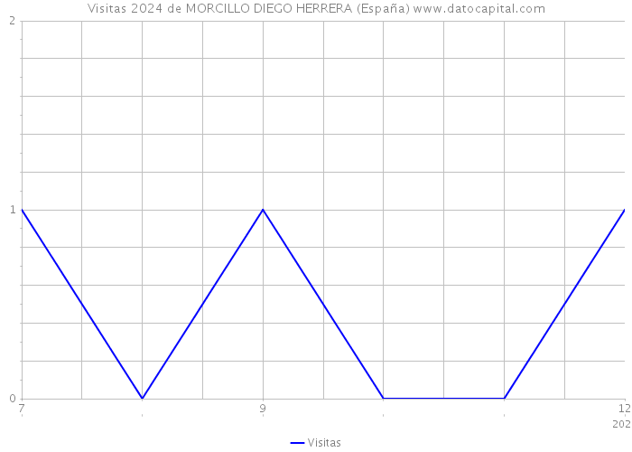 Visitas 2024 de MORCILLO DIEGO HERRERA (España) 