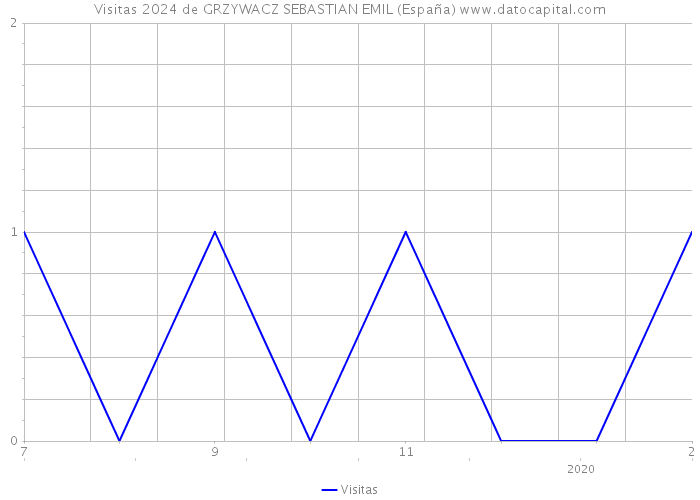 Visitas 2024 de GRZYWACZ SEBASTIAN EMIL (España) 