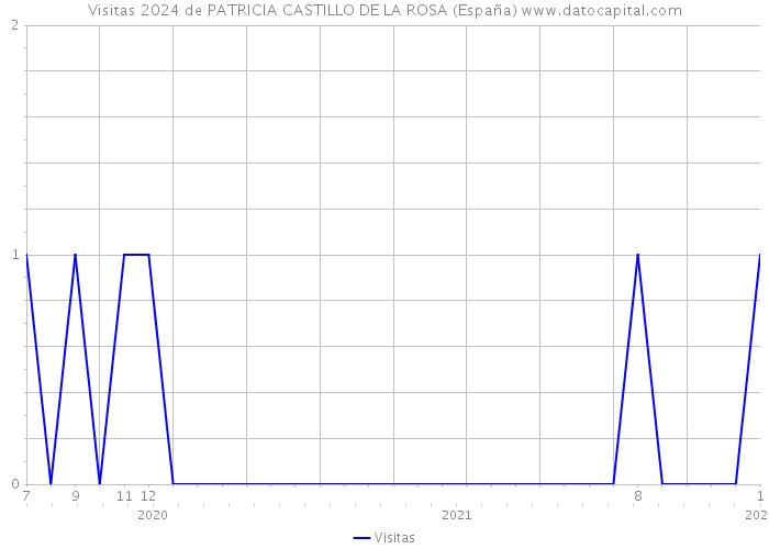 Visitas 2024 de PATRICIA CASTILLO DE LA ROSA (España) 