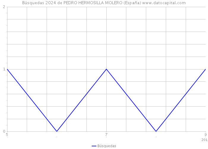 Búsquedas 2024 de PEDRO HERMOSILLA MOLERO (España) 