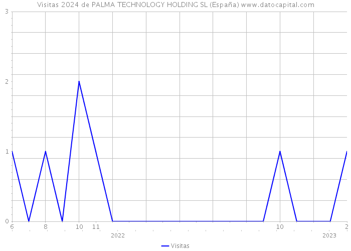 Visitas 2024 de PALMA TECHNOLOGY HOLDING SL (España) 