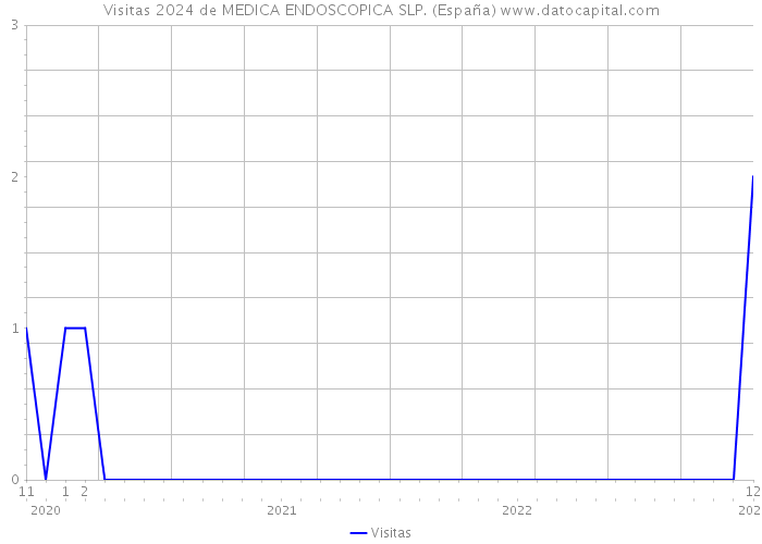 Visitas 2024 de MEDICA ENDOSCOPICA SLP. (España) 