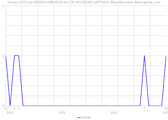 Visitas 2024 de HIDROCARBUROS ALCOP SOCIEDAD LIMITADA (España) 