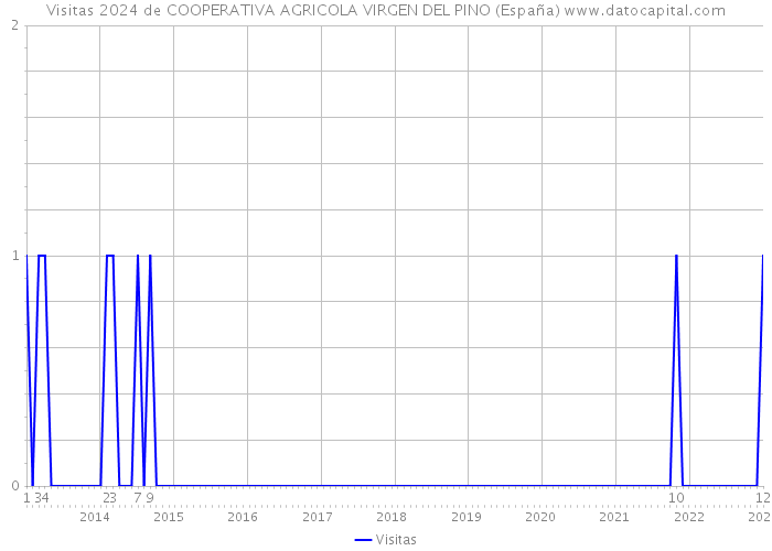 Visitas 2024 de COOPERATIVA AGRICOLA VIRGEN DEL PINO (España) 