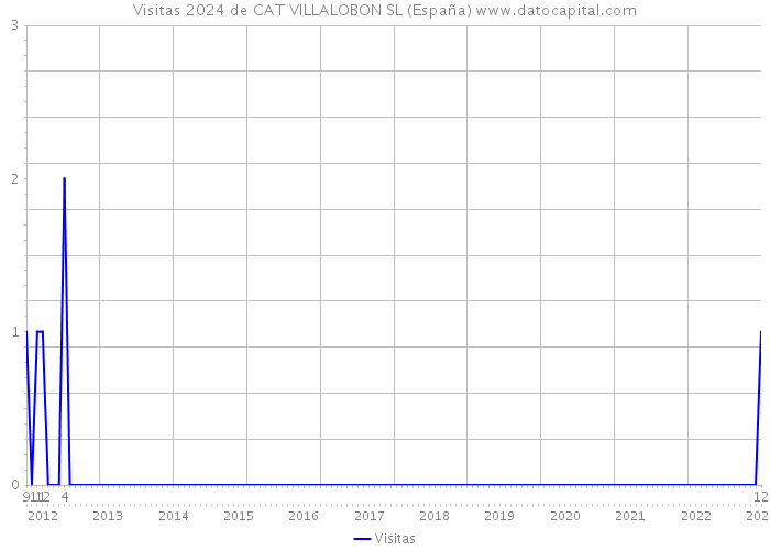 Visitas 2024 de CAT VILLALOBON SL (España) 