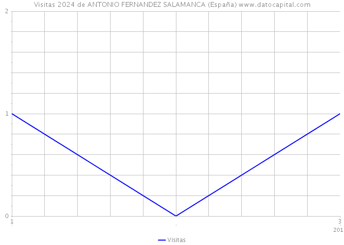 Visitas 2024 de ANTONIO FERNANDEZ SALAMANCA (España) 