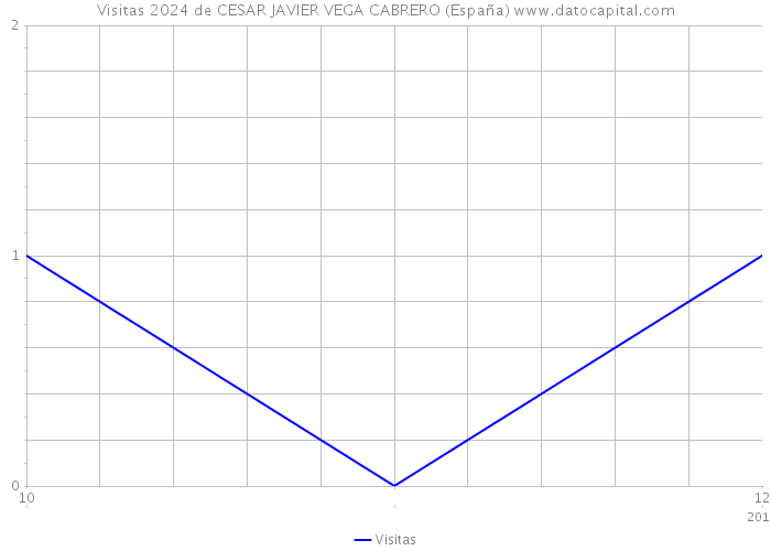 Visitas 2024 de CESAR JAVIER VEGA CABRERO (España) 