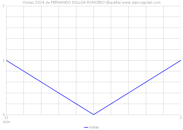 Visitas 2024 de FERNANDO SOLLOA RONCERO (España) 