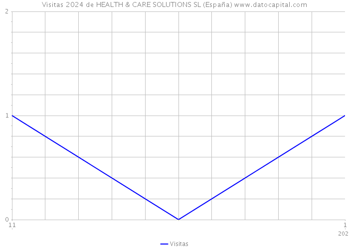 Visitas 2024 de HEALTH & CARE SOLUTIONS SL (España) 