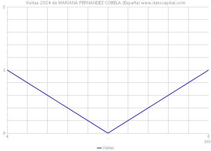 Visitas 2024 de MARIANA FERNANDEZ COBELA (España) 