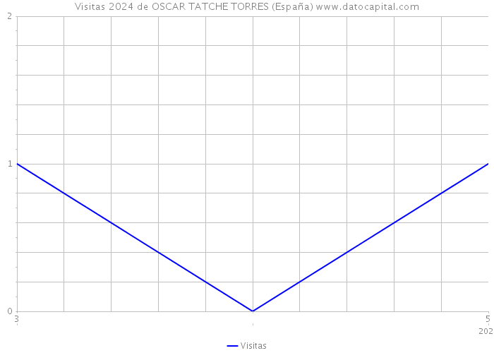 Visitas 2024 de OSCAR TATCHE TORRES (España) 