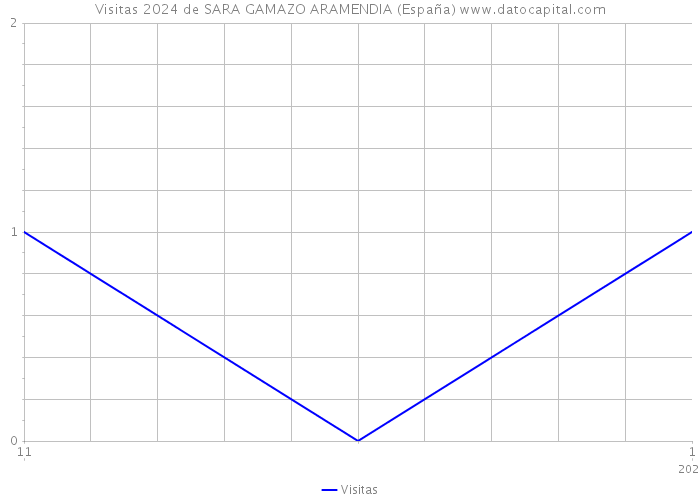 Visitas 2024 de SARA GAMAZO ARAMENDIA (España) 