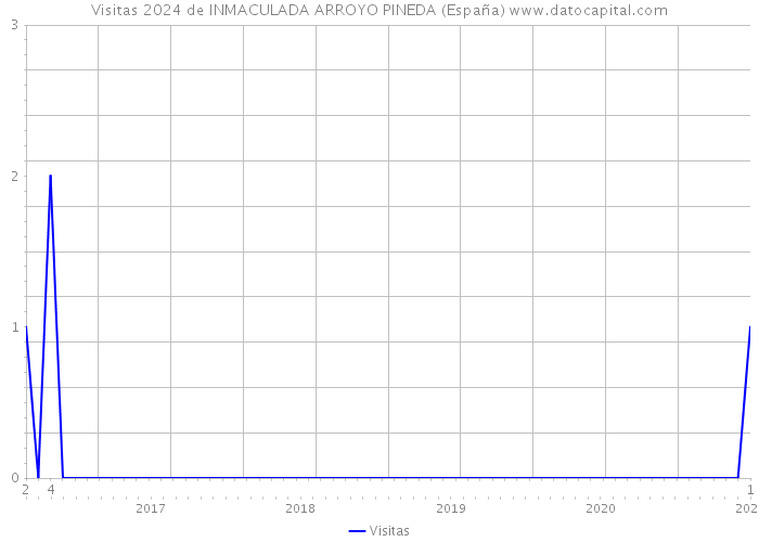 Visitas 2024 de INMACULADA ARROYO PINEDA (España) 