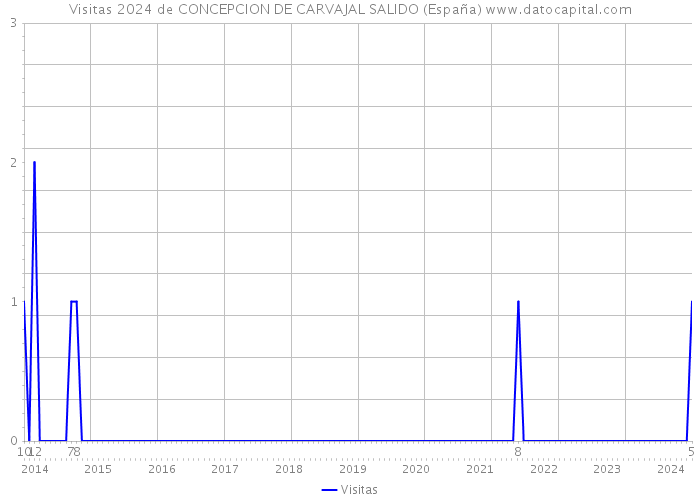 Visitas 2024 de CONCEPCION DE CARVAJAL SALIDO (España) 