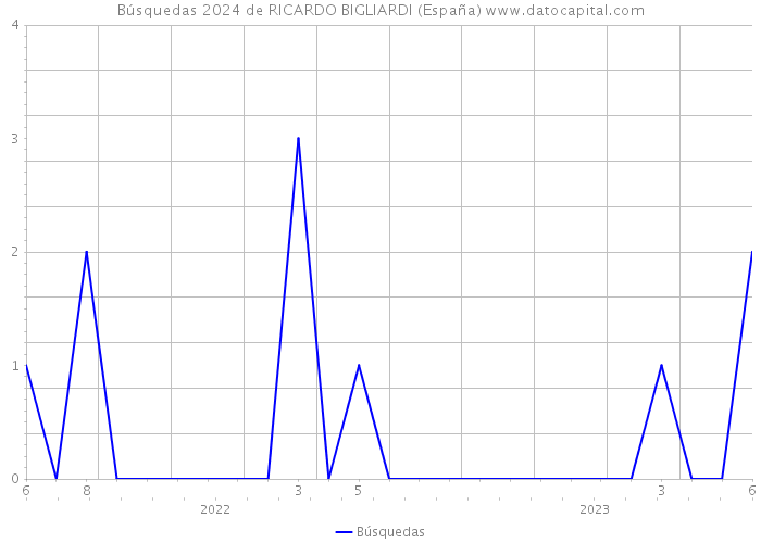 Búsquedas 2024 de RICARDO BIGLIARDI (España) 