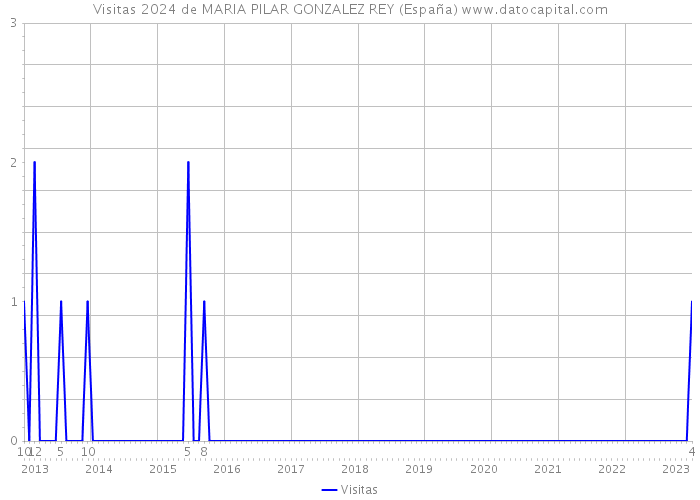 Visitas 2024 de MARIA PILAR GONZALEZ REY (España) 