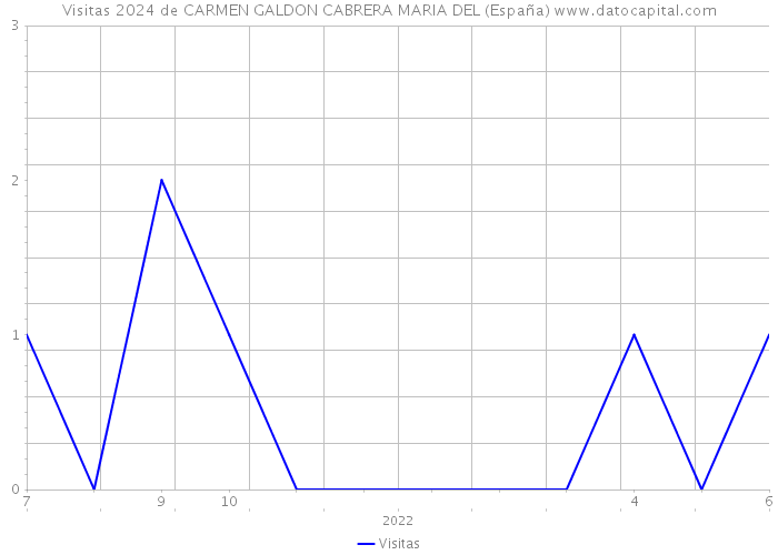 Visitas 2024 de CARMEN GALDON CABRERA MARIA DEL (España) 