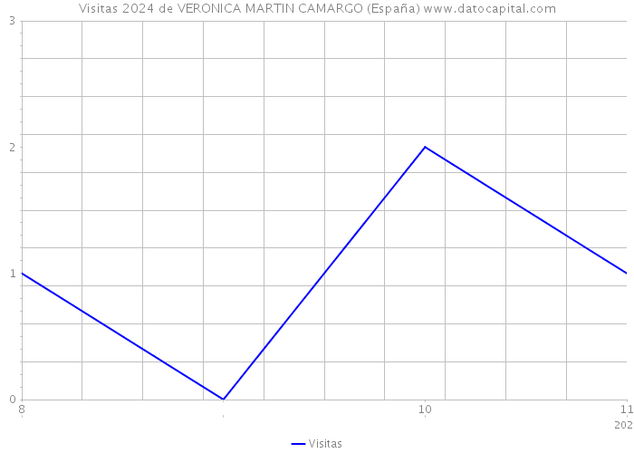 Visitas 2024 de VERONICA MARTIN CAMARGO (España) 