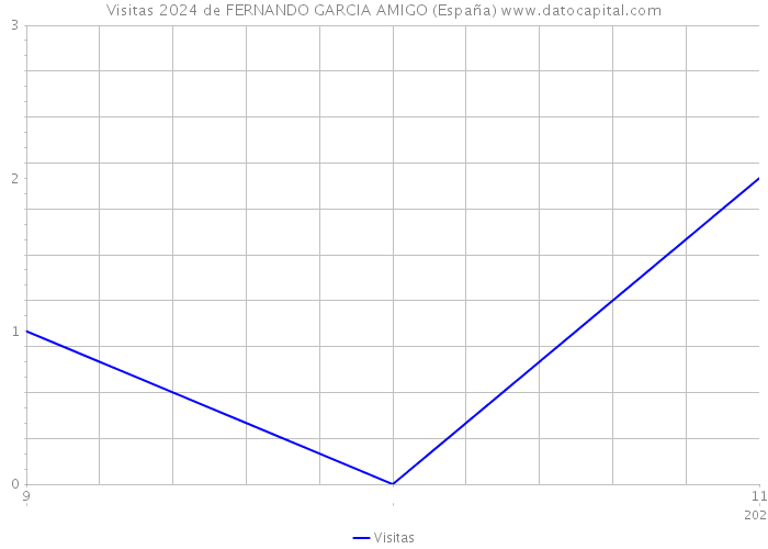 Visitas 2024 de FERNANDO GARCIA AMIGO (España) 