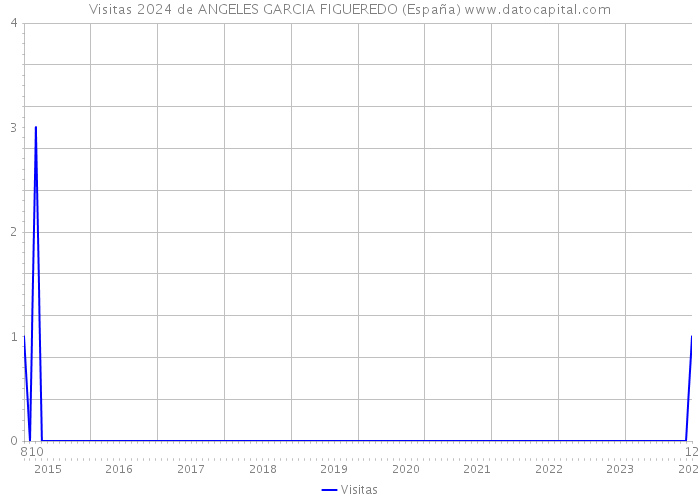 Visitas 2024 de ANGELES GARCIA FIGUEREDO (España) 