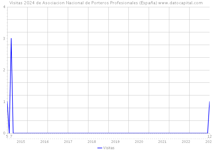 Visitas 2024 de Asociacion Nacional de Porteros Profesionales (España) 