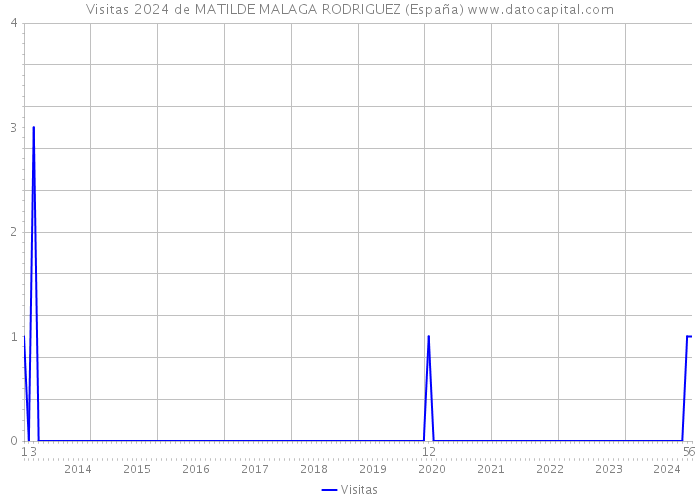 Visitas 2024 de MATILDE MALAGA RODRIGUEZ (España) 