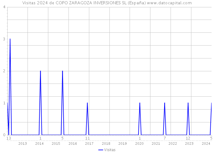 Visitas 2024 de COPO ZARAGOZA INVERSIONES SL (España) 