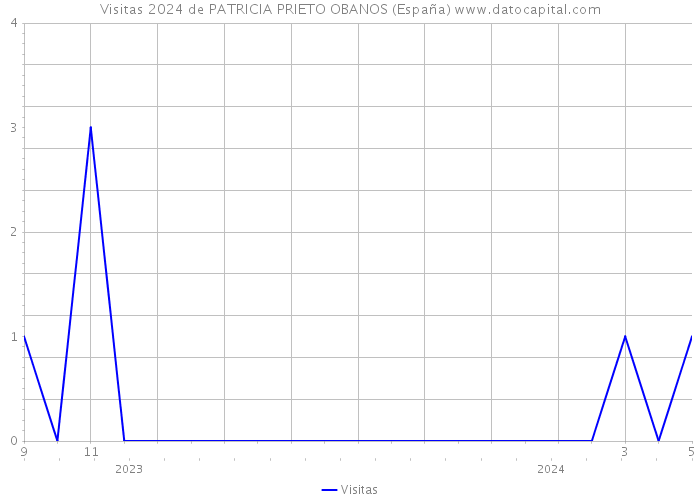 Visitas 2024 de PATRICIA PRIETO OBANOS (España) 