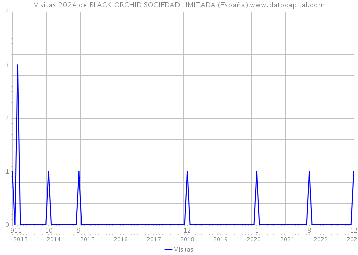 Visitas 2024 de BLACK ORCHID SOCIEDAD LIMITADA (España) 