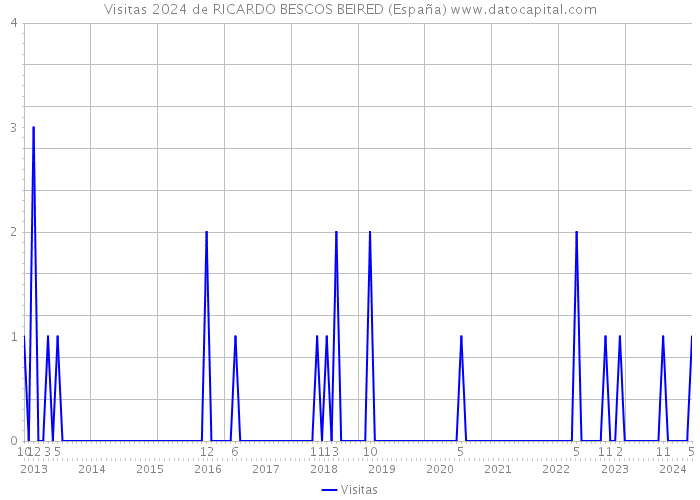 Visitas 2024 de RICARDO BESCOS BEIRED (España) 