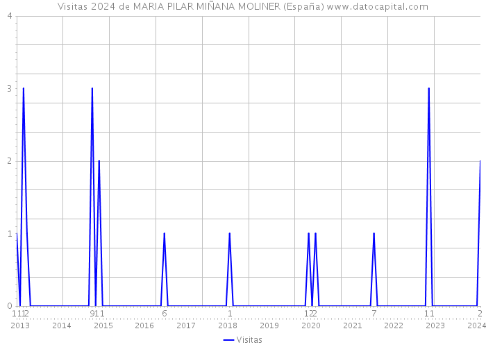Visitas 2024 de MARIA PILAR MIÑANA MOLINER (España) 