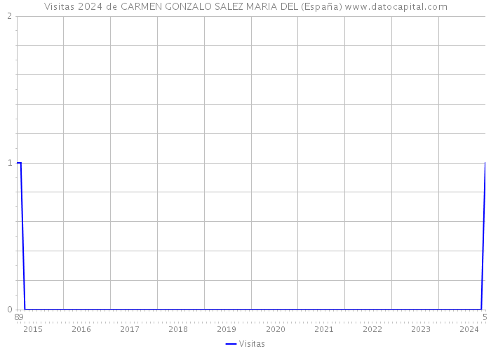Visitas 2024 de CARMEN GONZALO SALEZ MARIA DEL (España) 