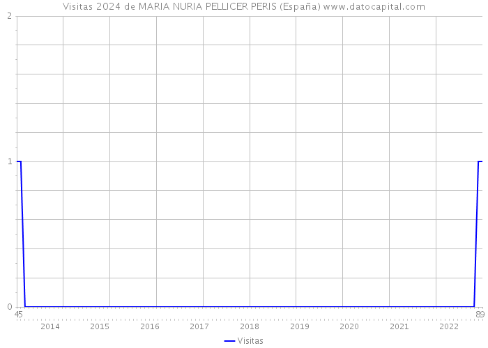 Visitas 2024 de MARIA NURIA PELLICER PERIS (España) 