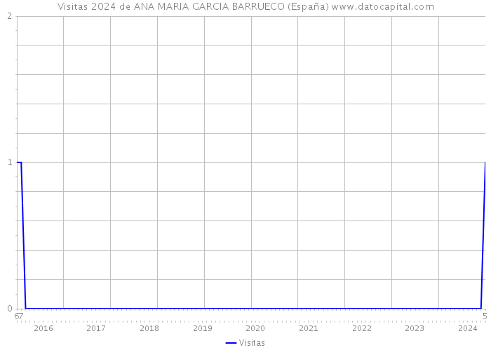 Visitas 2024 de ANA MARIA GARCIA BARRUECO (España) 