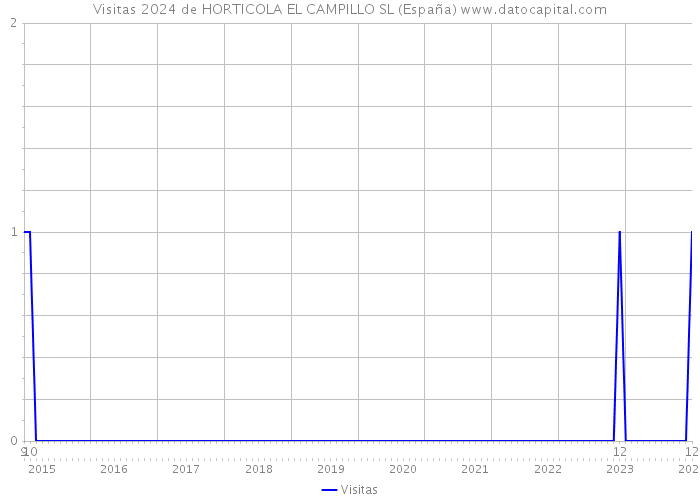 Visitas 2024 de HORTICOLA EL CAMPILLO SL (España) 