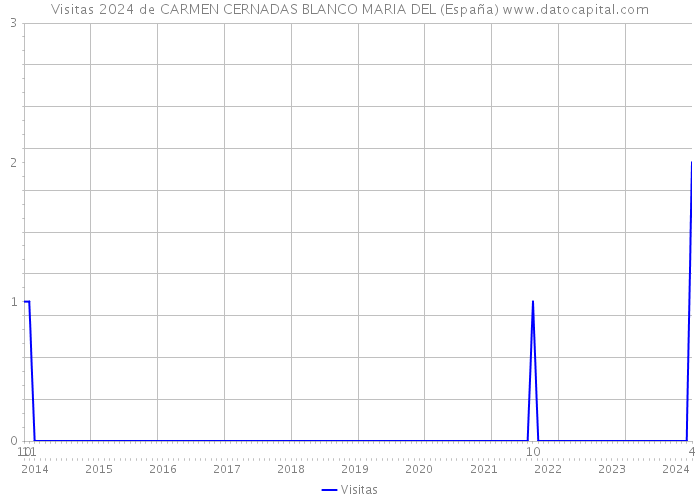 Visitas 2024 de CARMEN CERNADAS BLANCO MARIA DEL (España) 