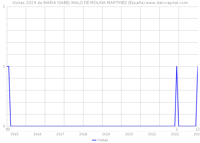Visitas 2024 de MARIA ISABEL MALO DE MOLINA MARTINEZ (España) 