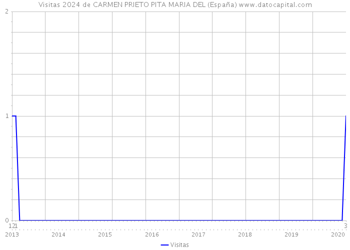 Visitas 2024 de CARMEN PRIETO PITA MARIA DEL (España) 