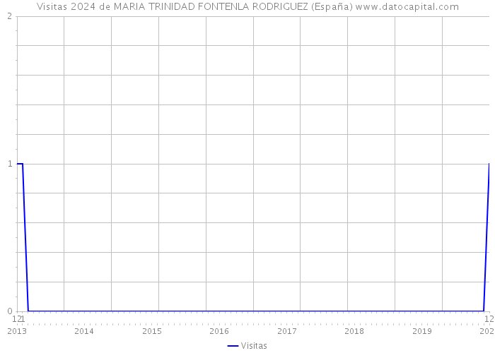 Visitas 2024 de MARIA TRINIDAD FONTENLA RODRIGUEZ (España) 