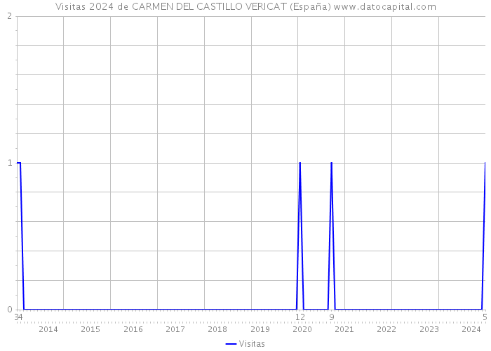 Visitas 2024 de CARMEN DEL CASTILLO VERICAT (España) 