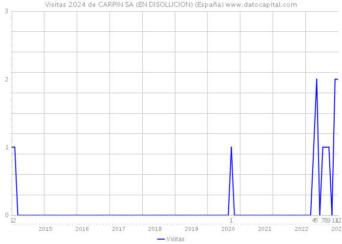 Visitas 2024 de CARPIN SA (EN DISOLUCION) (España) 