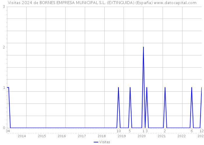 Visitas 2024 de BORNES EMPRESA MUNICIPAL S.L. (EXTINGUIDA) (España) 