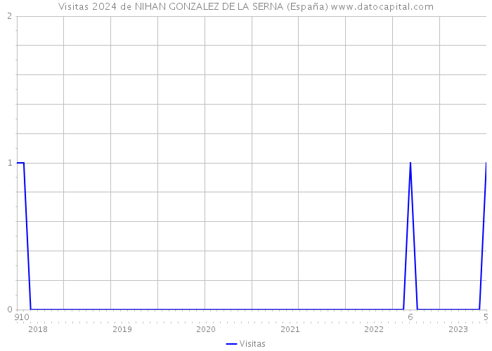 Visitas 2024 de NIHAN GONZALEZ DE LA SERNA (España) 