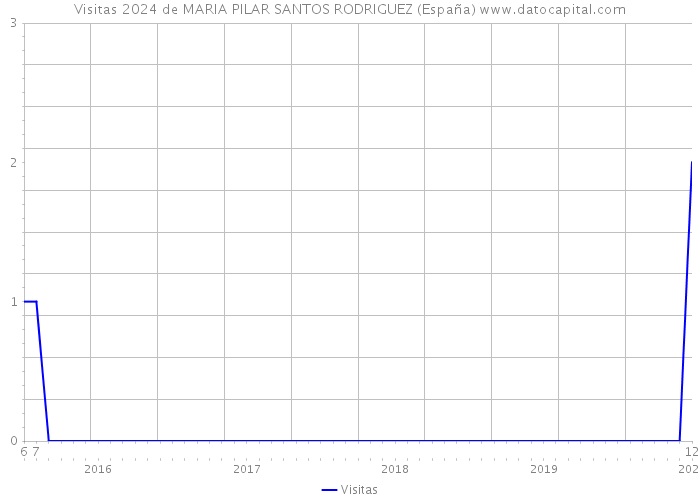 Visitas 2024 de MARIA PILAR SANTOS RODRIGUEZ (España) 