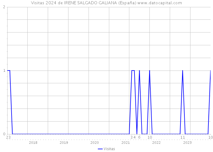 Visitas 2024 de IRENE SALGADO GALIANA (España) 