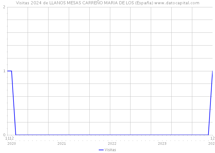 Visitas 2024 de LLANOS MESAS CARREÑO MARIA DE LOS (España) 