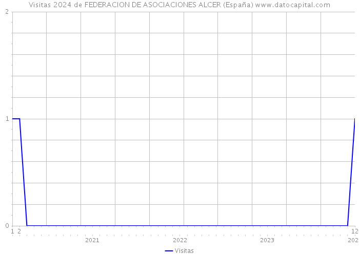 Visitas 2024 de FEDERACION DE ASOCIACIONES ALCER (España) 