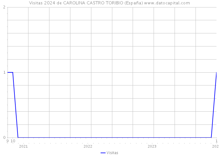 Visitas 2024 de CAROLINA CASTRO TORIBIO (España) 